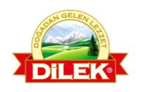 Logo Dilek